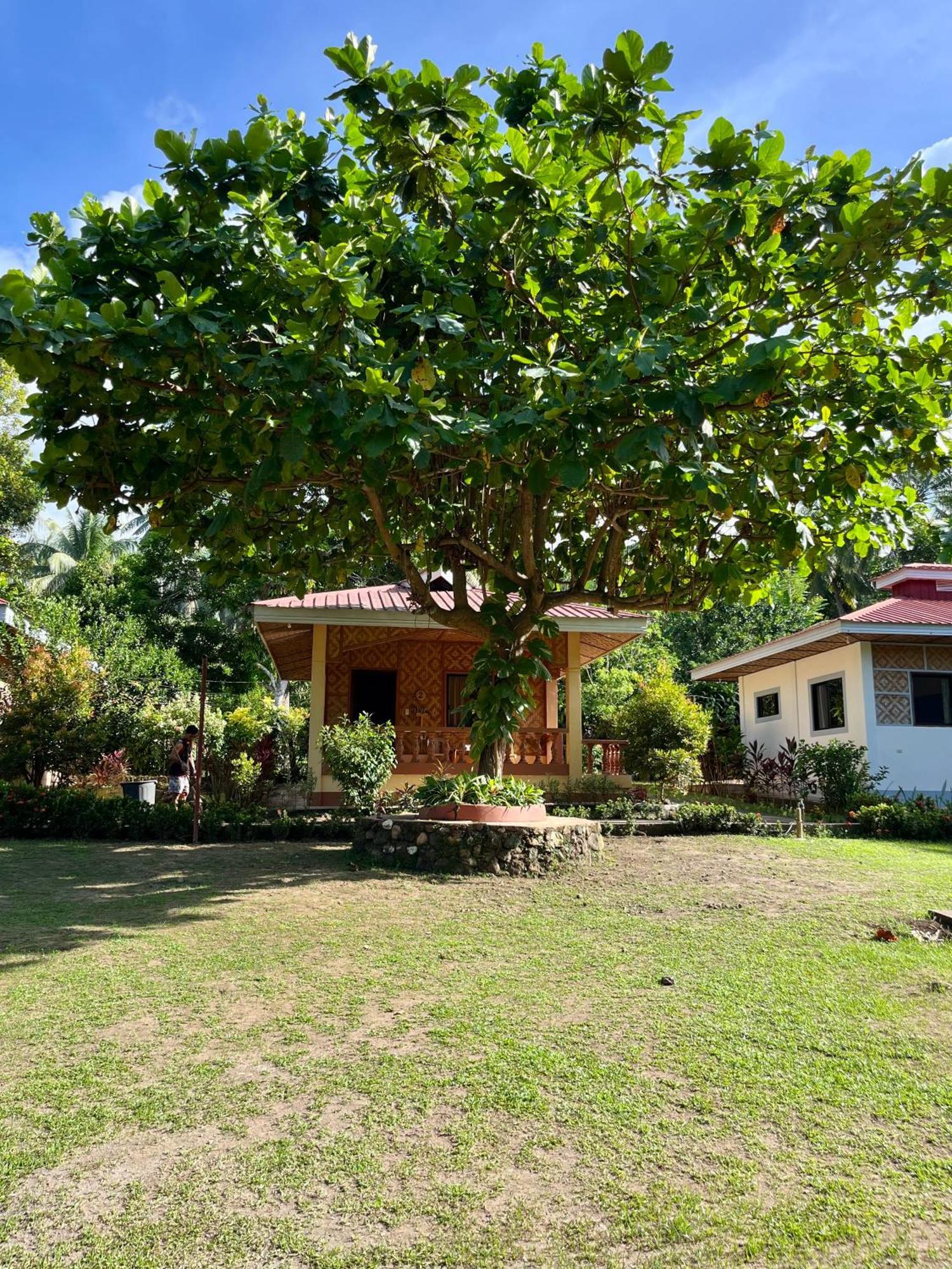 Paco'S Garden Home Stay Mambajao Zewnętrze zdjęcie